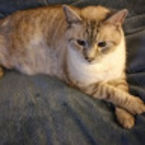 Meet your Posher, Norma